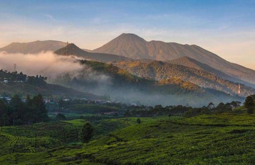 Citaringgul Resort | 49 m² Resort ∙ 2 guests