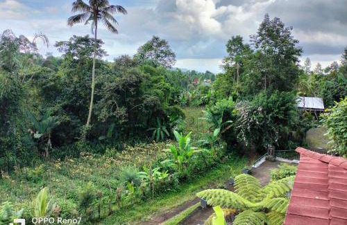 Besakih Bed & Breakfast | Bed and breakfast ∙ 1 bedroom ∙ 2 guests
