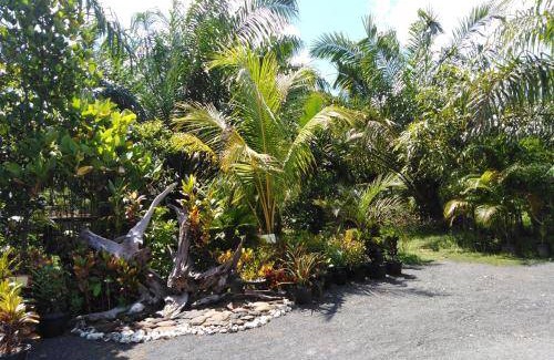 Phangnga Bed & Breakfast | Bed and breakfast ∙ 2 bedrooms ∙ 8 guests
