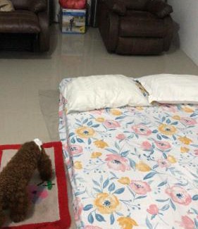 Surabaya Apartment | Citisquare apartment for good sleeper