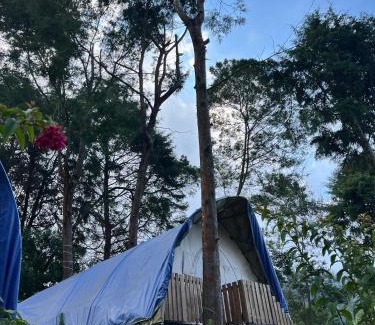 Dieng Kulon Other | Dieng glamping syari'ah