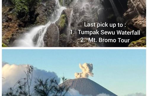 Jawa Timur Hostel | ELTARI Pine House