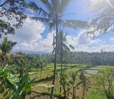 Kecamatan Pringgasela House | Forest Side Bungalow