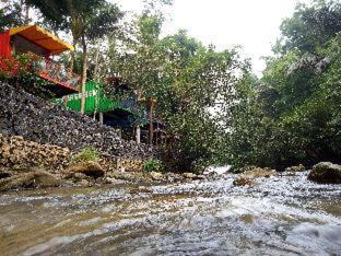 Parigi Hotel | Hau Eco Lodges Citumang Pangandaran