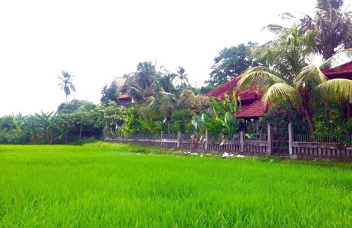 Tukad Mungga Hostel | Hostel ∙ 8 guests