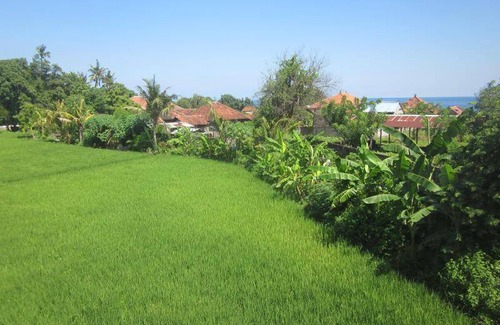 Tukad Mungga Hostel | Hostel ∙ 8 guests
