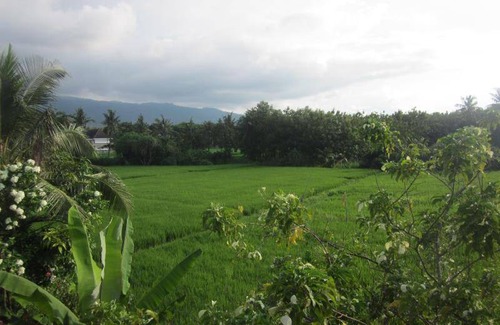 Tukad Mungga Hostel | Hostel ∙ 8 guests
