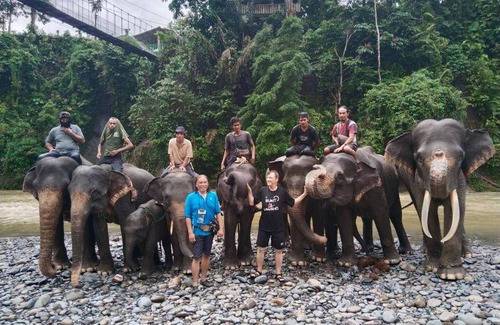 Bukit Lawang Hostel | Hostel ∙ 8 guests