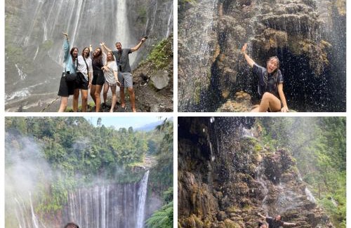 Klojen Hostel | Little Malang Hostel小玛瑯青年旅舍