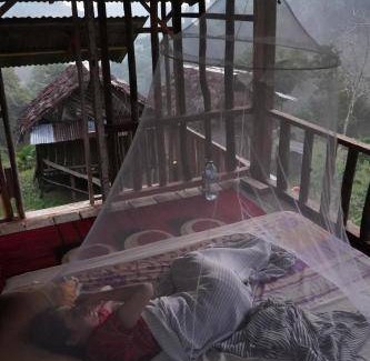 Bukit Lawang Cabin | Lodge ∙ 6 guests