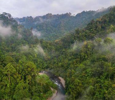 Bukit Lawang Cabin | Lodge ∙ 6 guests