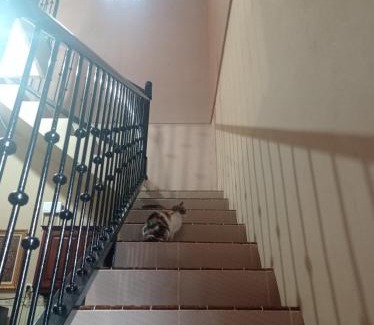 Banyuwangi Hostel | Ozan Hostel