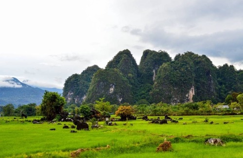 Bantimurung Resort | Private room ∙ 2 guests
