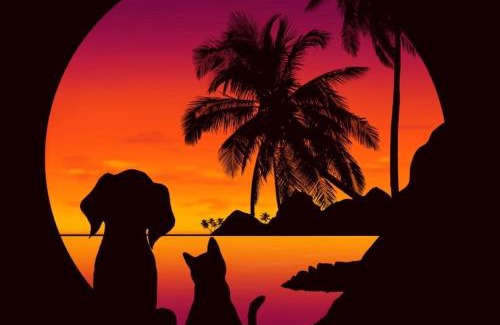 Nias Hostel | Salty Dog Hostel