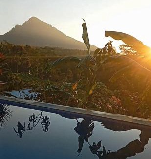 Kintamani Bed & Breakfast | The Bunut Villas