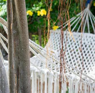 Karimunjava Villa | The Secret Karimunjawa
