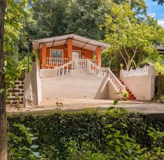Maina House | The Treehouse