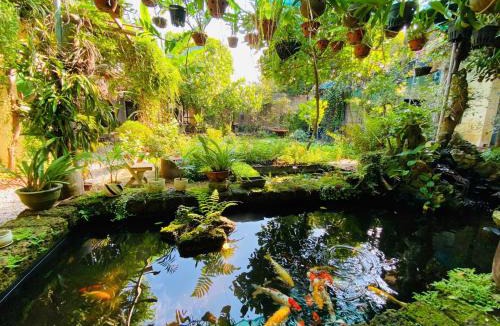 Son Tay House | Đường Lâm Homestay - Elephant's House
