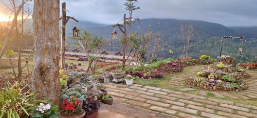 Kon Plong Cabin | Đỉnh Phong Homestay Săn Mây Măng Đen