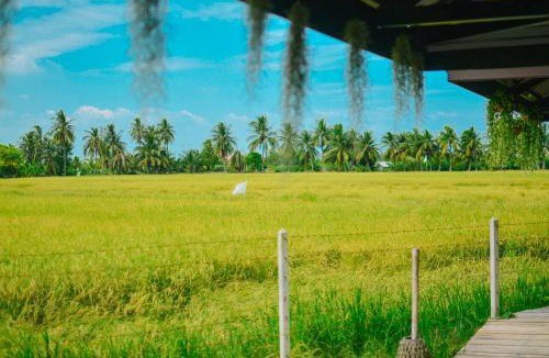 Suan Som House | ทรัพย์ในดิน ฟาร์มสเตย์