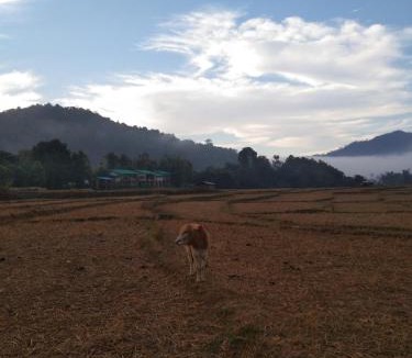 Bo Kluea Villa | นากลางดอย Naklangdoi