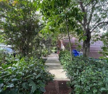 Sena House | บ้านนกฮูก อิงสายชล