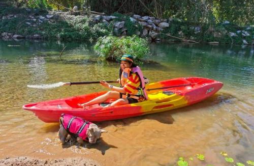 Khanong Phra Resort | บ้านสุจิปุรี BaanSujipuri