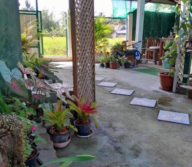 San Sai House | บ้านอังกาบ Aungkab homestay