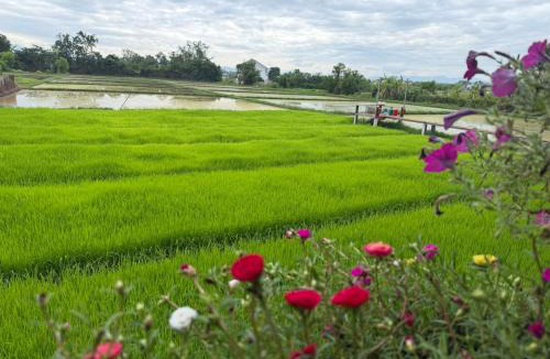 San Pu Loei House | สมายด์ ฮ่อมนา เรสเฮาท์ Smile Homna Resthouse