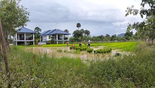 Kampot House | បក្សី Baksaei Retreat Ricefield Villas