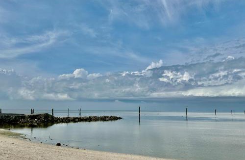 Selangor House | 巴适得板 80homestays Kuala Selangor