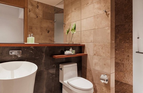 Nuevo Vallarta Hotel | 1 Bedroom Unit at Vidanta World Exclusive VIP Park and Free Sky Dream Gondolas