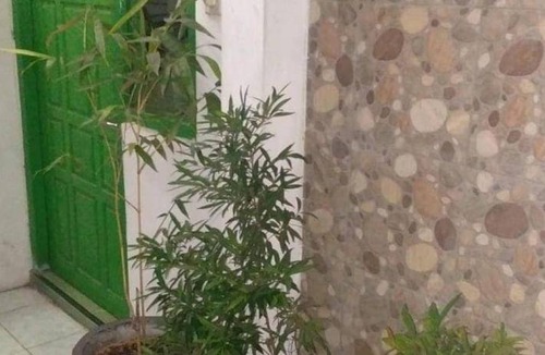 Tulungagung Hotel | 12 m² Hotel ∙ 4 guests
