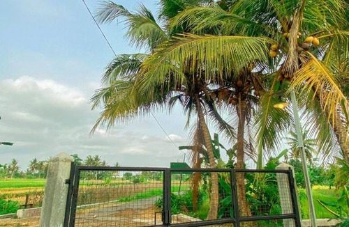 Ngemplak House | 120 m² House ∙ 2 bedrooms ∙ 4 guests