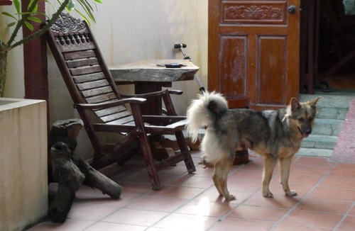 Chamkar Mon House | 139 Guest House