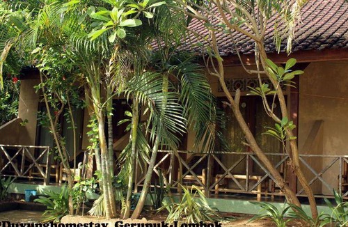 Gerupuk Bed & Breakfast | 16 m² Bed and breakfast ∙ 7 guests