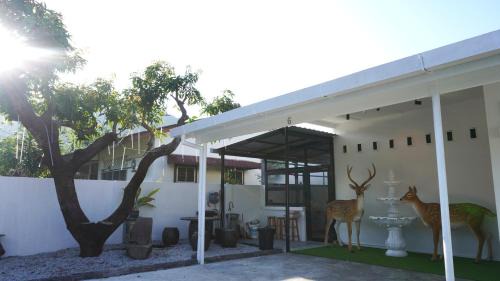 Kampung Tembok House | 16 Pax HJ Private Pool HomeStay Ipoh