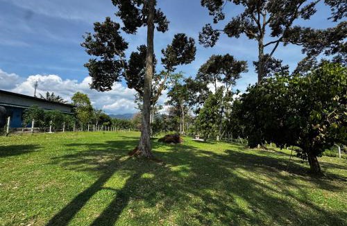 Pekan Nanas House | 187 Kg Sawah