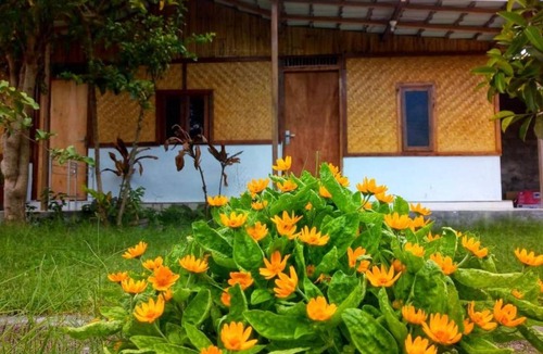 Kecamatan Pringgasela Apartment | 20 m² Apartment ∙ 2 guests