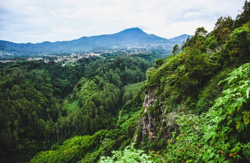 Lembang Bed & Breakfast | 20 m² Bed and breakfast ∙ 20 guests