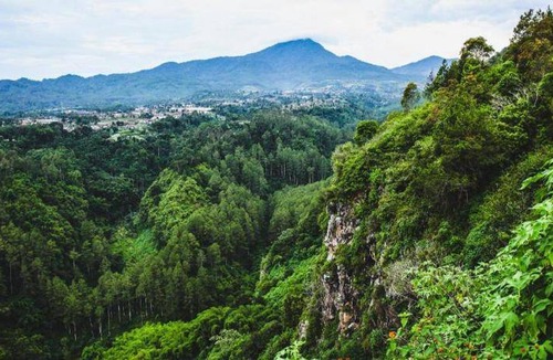 Lembang Hotel | 20 m² Hotel ∙ 3 guests