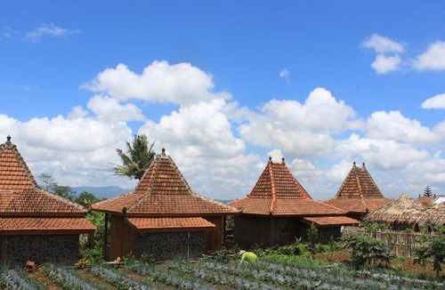 Wonosobo Bed & Breakfast | 25 m² Bed and breakfast ∙ 4 guests