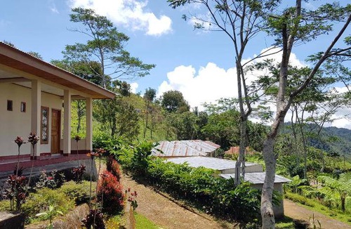 Manggarai Bed & Breakfast | 25 m² Bed and breakfast ∙ 3 guests