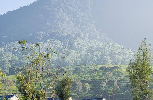 Pangalengan Resort | 27 m² Resort ∙ 2 bedrooms ∙ 8 guests
