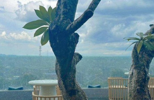 Tulungagung Hotel | 31 m² Hotel ∙ 127 guests