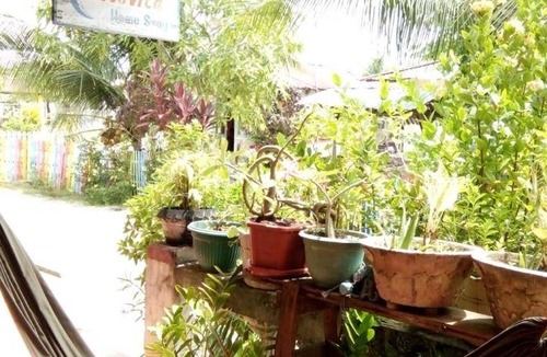 Bunaken Bed & Breakfast | 34 m² Bed and breakfast ∙ 4 guests