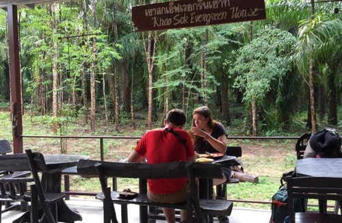 Khlong Sok Resort | 38 m² Resort ∙ 4 guests