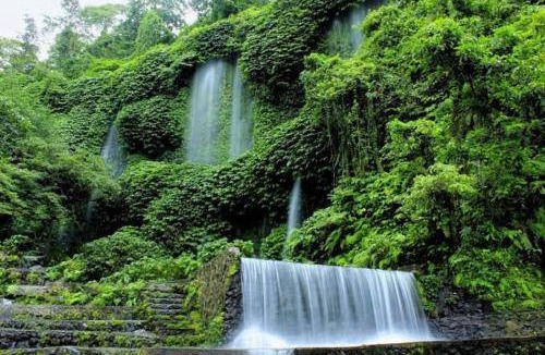 Tetebatu Bed & Breakfast | 40 m² Bed and breakfast ∙ 4 guests