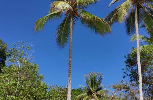 Pulau Kadidi Resort | 47 m² Resort ∙ 2 guests