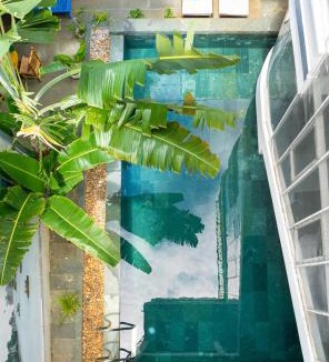 Cam Thanh House | 5 Coconut Villa